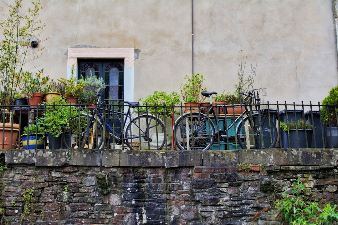 Best Cycling Cafes on the North Downs